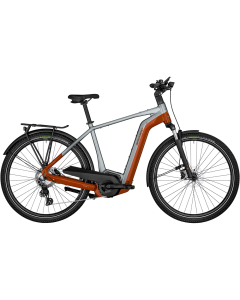 Bergamont E-Horizon Edition LTD High Trekking E-Bike (28" | 750Wh | silber / orange)-64 cm