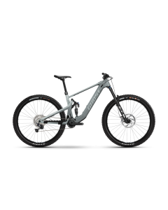 Ghost Path Riot Advanced Fully MTB E-Bike (29" | 430Wh | grau / hellgrau)