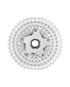 Campagnolo Ekar13s CS21-EK1396 Zahnkranz (9-36 Zähne)