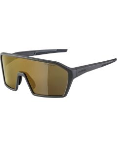 Alpina Ram Q-Lite Sonnenbrille (grau | Gläser gold verspiegelt)
