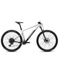 Ghost Lector LC Mountainbike (29" | hellgrau / schwarz)