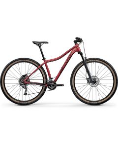 Centurion Backfire Fit Pro 200.27 HP2 Mountainbike (27.5 Zoll | rot)-43 cm