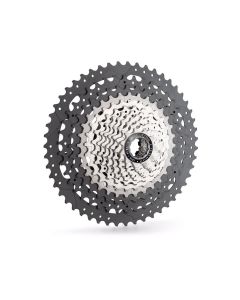 Zahnkranzkassette XM 12