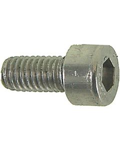 Bofix Allen screw (M5x25 | silver)