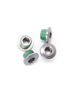 Truvativ XX1 Chain Ring Bolt (silver)