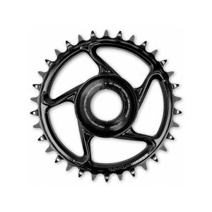 e*Thirteen e*Spec DM Kettenblatt (Brose S Mag | 38Z)