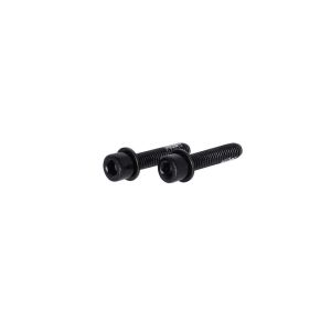 TRP Flat Mount Schrauben (27mm)