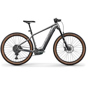 Centurion Backfire E R2700i EP3 MTB E-Bike (29 Zoll | 750Wh | grau)-55 cm