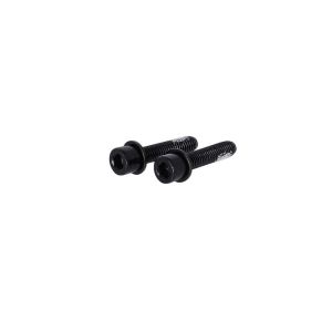 TRP Flat Mount Schrauben (22mm)