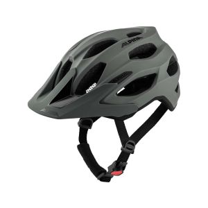 Alpina Carapax 2.0 Fahrradhelm (grau)