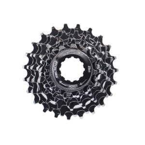 XLC Zahnkranz (8-fach | 16-25 Zähne | Shimano)