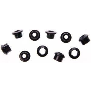 Truvativ Chain Ring Bolt eMTB (Steel | SRAM Eagle)