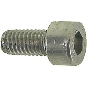 Bofix Allen screw (M5x25 | silver)