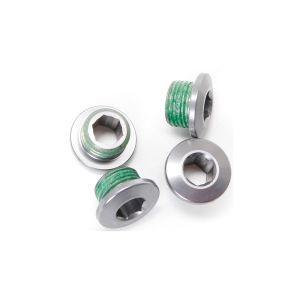 Truvativ XX1 Chain Ring Bolt (silver)
